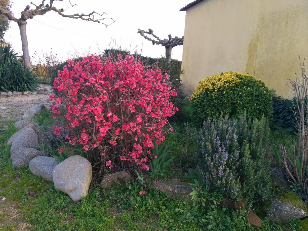 Casa Rural "Can Abres" Vilobi D'Onyar Girona Viloví de Oñar Exterior foto